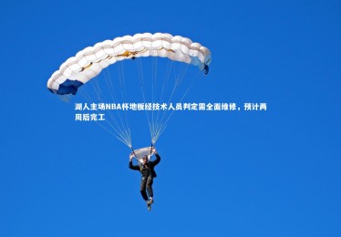 ng体育官网：湖人主场NBA杯地板经技术人员判定需全面维修，预计两周后完工